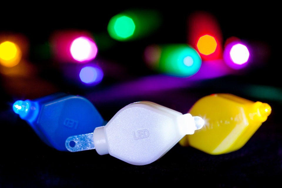 Floral Lights