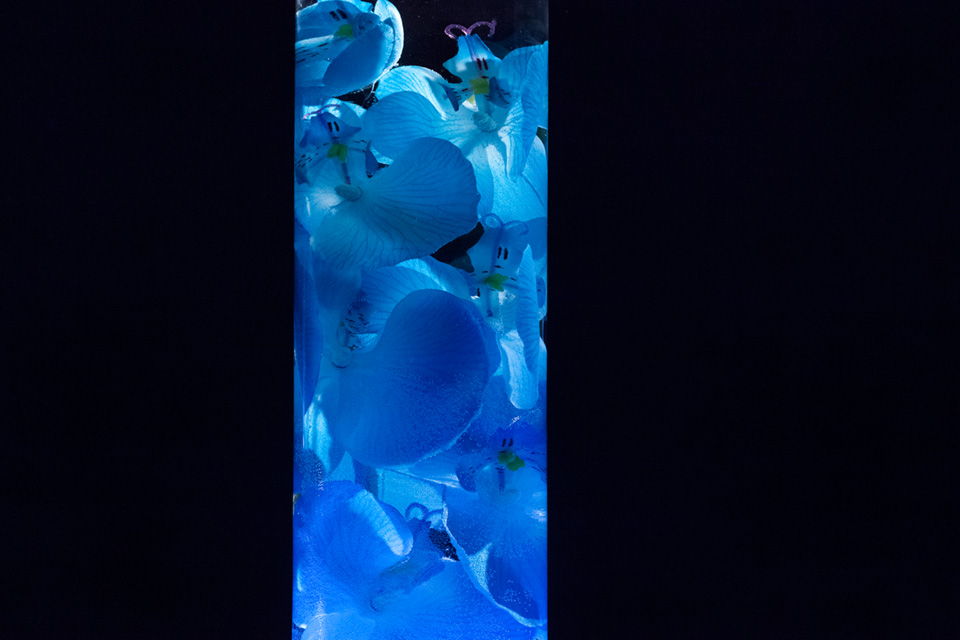 Floral Centerpiece with LED Lights
