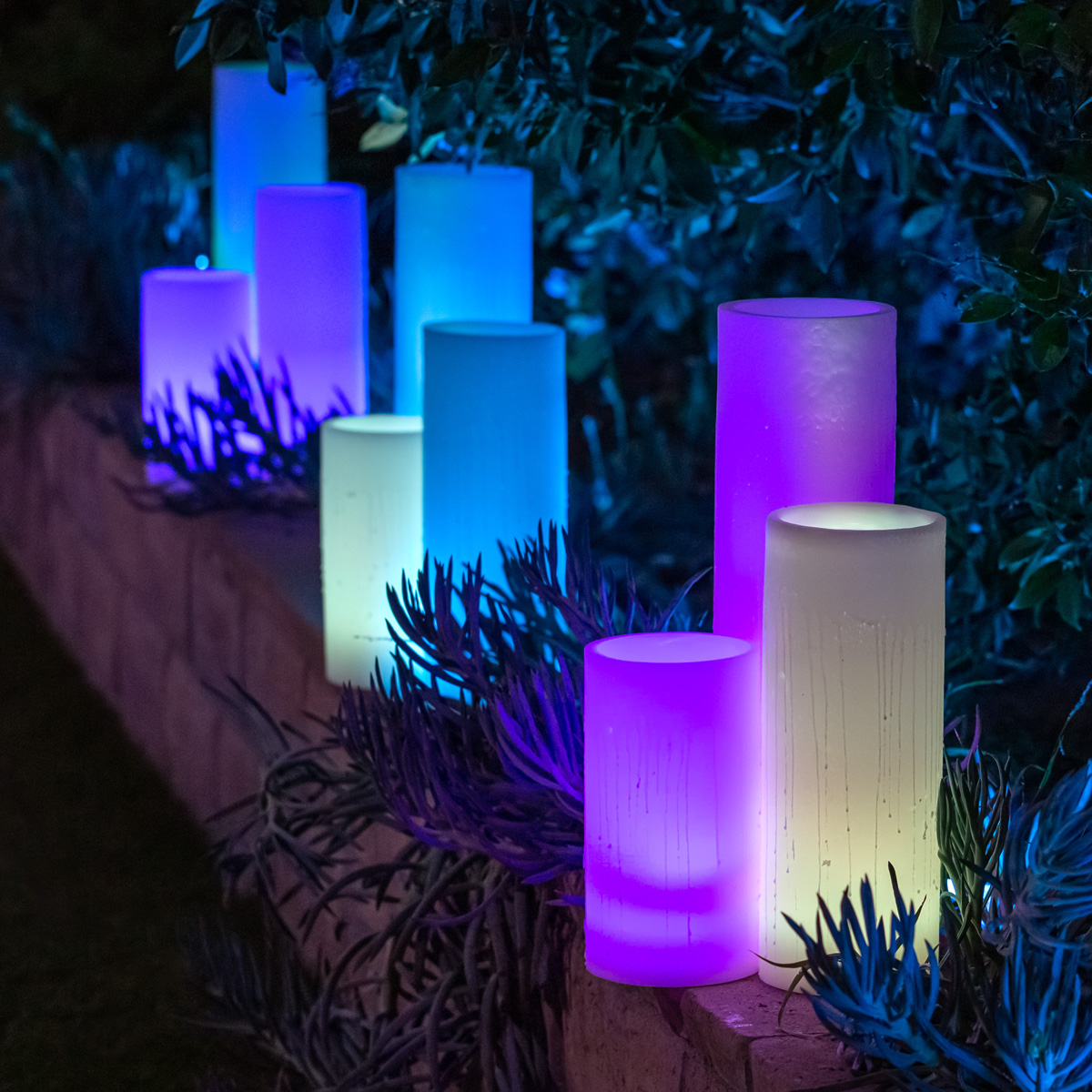Sustainable Illuminated Gardens