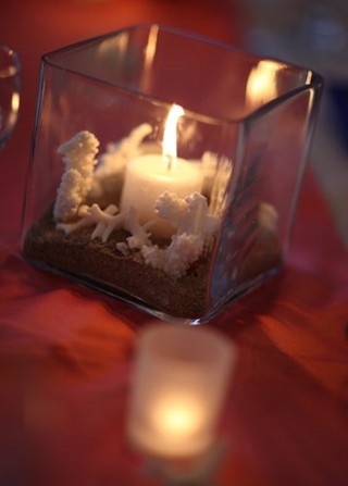 Thanks so much for your help! I love 100candles.com and have been promoting it in my blog and other places to clients and other vendors. The LED votives are great for the environment and don’t blow 