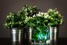 DIY Floral Centerpiece with LED Lights