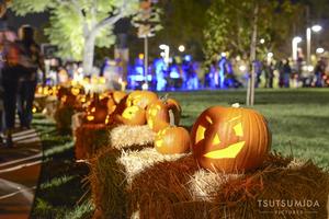 Pumpkin Glow at the Great Park Neighborhoods