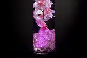 Pink Floral Centerpiece with LED Lights and Decorative Gems