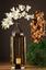 Indian Nights Decor Ideas