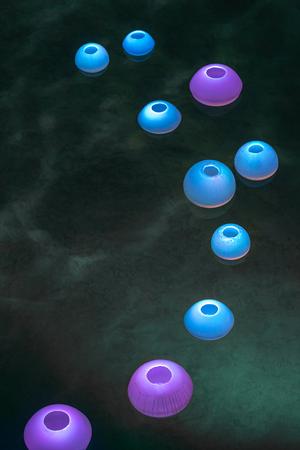 G5 Flameless Floating Candles - Queen's Bath