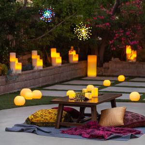 Illuminated Enchanted Garden