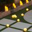 The Mystical Sustainable Garden
