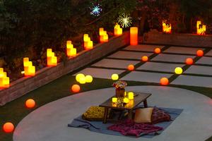 The Enchanted Garden