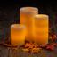 G5 Flameless Candles - Thanksgiving Medley