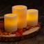 Flameless Thanksgiving Trio Centerpiece