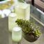 White Illuminated Wax Luminary Table Decor