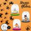 Magic Globes for Fall Events and Celebrations