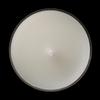Ivory Tea Lights