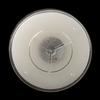 Ivory Tea Lights