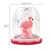 Magic Globe - Birthday Collectors Edition - Flamingo Cake