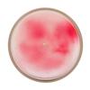Vanilla Rose - Colours Line Soy Candle by Candeloo