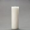 3x9 White Frosted Pillar Candle