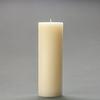 3x9 Ivory Frosted Pillar Candle