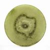 4x8 Green Frosted Pillar Candle