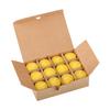Premium High Concentrate Citronella Votive Candles