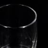 Libbey Cascade Water 10 Oz Glass - Clear Swirl Cup