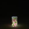 2.5x4 Pink Red Dogwoods Acrylic Luminary