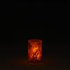 2.5x4 Poppies Acrylic Luminary