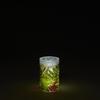 2.5x4 Green Ferns Acrylic Luminary