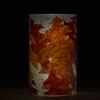 3x5 Autumn Pin Oak Leaves Acrylic Luminary