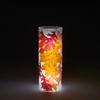 3x8 Autumn Pin Oak Leaves Acrylic Luminary