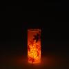 2.5x6 Autumn Maple Leaves Acrylic Luminary