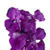Artificial Vanda Orchid - Purple