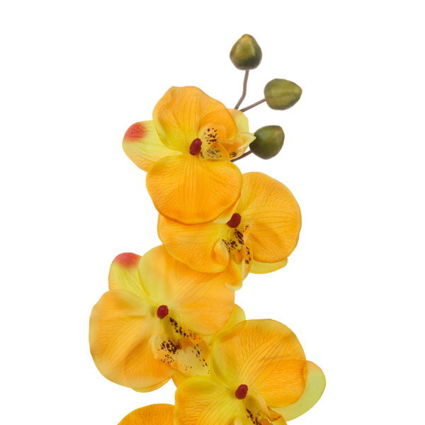 Artificial Phalaenopsis Orchid Yellow Peach