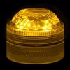 Amber Submersible Five LED Light