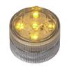 Amber Submersible Five LED Light