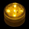 Amber Submersible Five LED Light