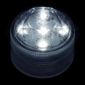 White Submersible Five LED Light
