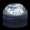 White Submersible Five LED Light
