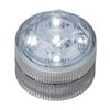White Submersible Five LED Light
