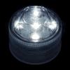 White Submersible Five LED Light