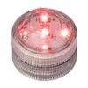 Red Submersible Five LED Light