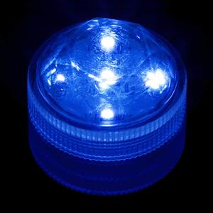 Blue Submersible Five LED Light