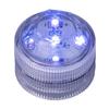 Blue Submersible Five LED Light