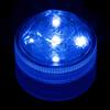 Blue Submersible Five LED Light