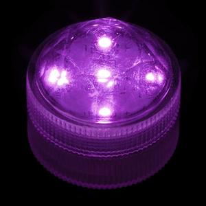 Purple Submersible Five LED Light