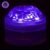 UV Black Light Submersible Five LED Light