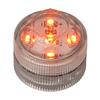 Orange Submersible Five LED Light