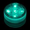 Teal Submersible Five LED Light