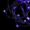 Multi Function 20 Micro LED UV Submersible String Light