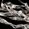 Remote Controlled 50 LED Multi-Color Fairy String Lights